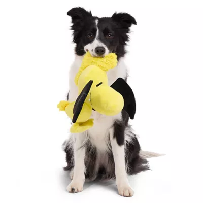 Product BARK Woodstockula Plush Dog Toy