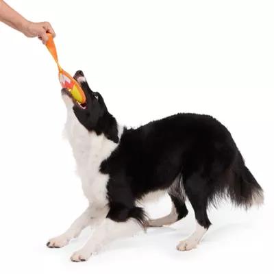 Product BARK Peanuts Super Chewer Blockhead