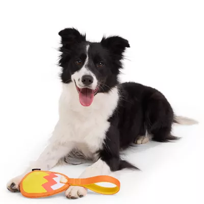 Product BARK Peanuts Super Chewer Blockhead