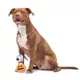 Product BARK Batty Snoopy Dog Toy