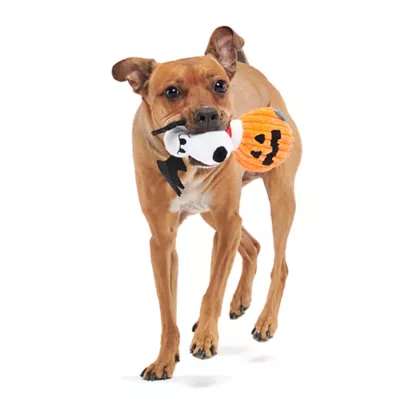 Product BARK Batty Snoopy Dog Toy