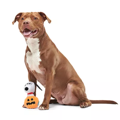 Product BARK Batty Snoopy Dog Toy