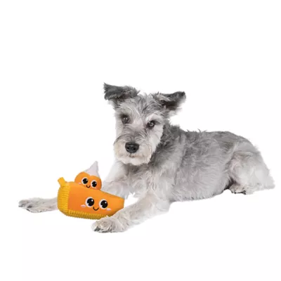 Product Millie and Ben Pawmpkin Pie