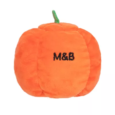 Product Millie and Ben Pumpkin Pooch