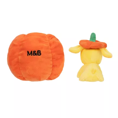 Product Millie and Ben Pumpkin Pooch
