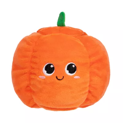 Product Millie and Ben Pumpkin Pooch
