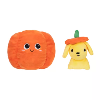 Product Millie and Ben Pumpkin Pooch