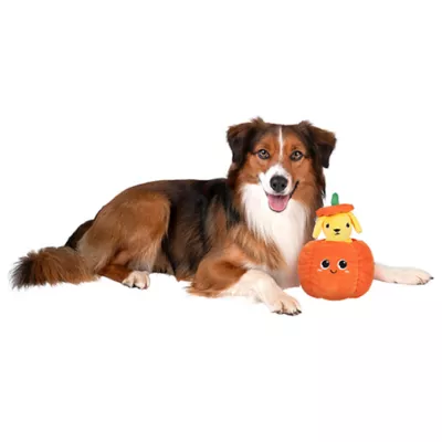 Product Millie and Ben Pumpkin Pooch