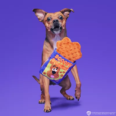 Product BARK Spooky Scooby's Snacks