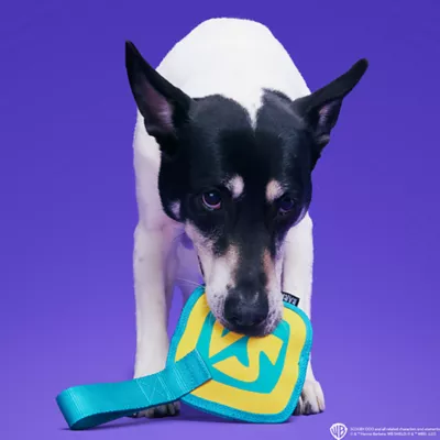 Product BARK Spooky Scooby Toy Tag