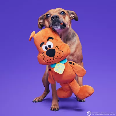 Product BARK Scooby-Dooby-Doo Dog Toy