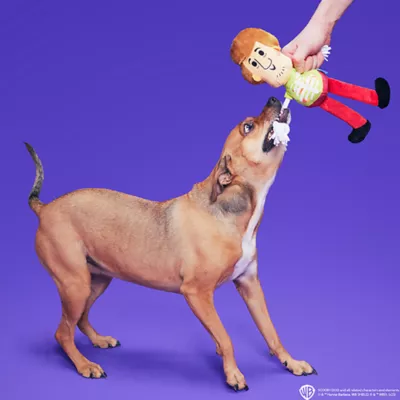 Product BARK Shaggy Skelly Dog Toy