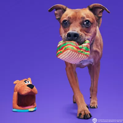Product BARK Snackin Scooby Dog Toy