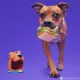 Product BARK Snackin Scooby Dog Toy