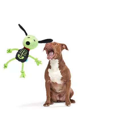 Product BARK Rattling Bones Beagle