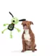 Product BARK Rattling Bones Beagle