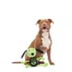 Product BARK Rattling Bones Beagle