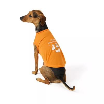 Thrills & Chills® Dog Halloween Tee - Image 1