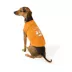 Thrills & Chills® Dog Halloween Tee image thumbnail 1