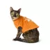 Thrills & Chills® Dog Halloween Tee image thumbnail 2