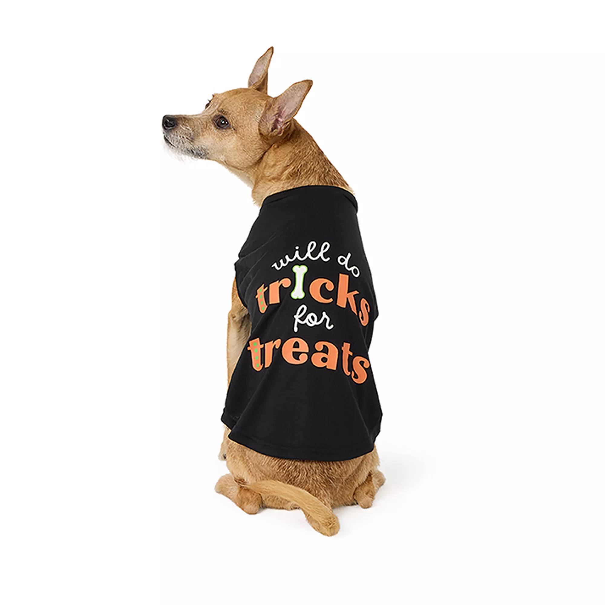 Thrills & Chills® Tricks for Treats T-Shirt, Dog and Cat