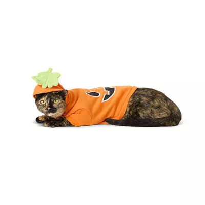 Product Thrills & Chills® Pet Pumpkin Hoodie Costume