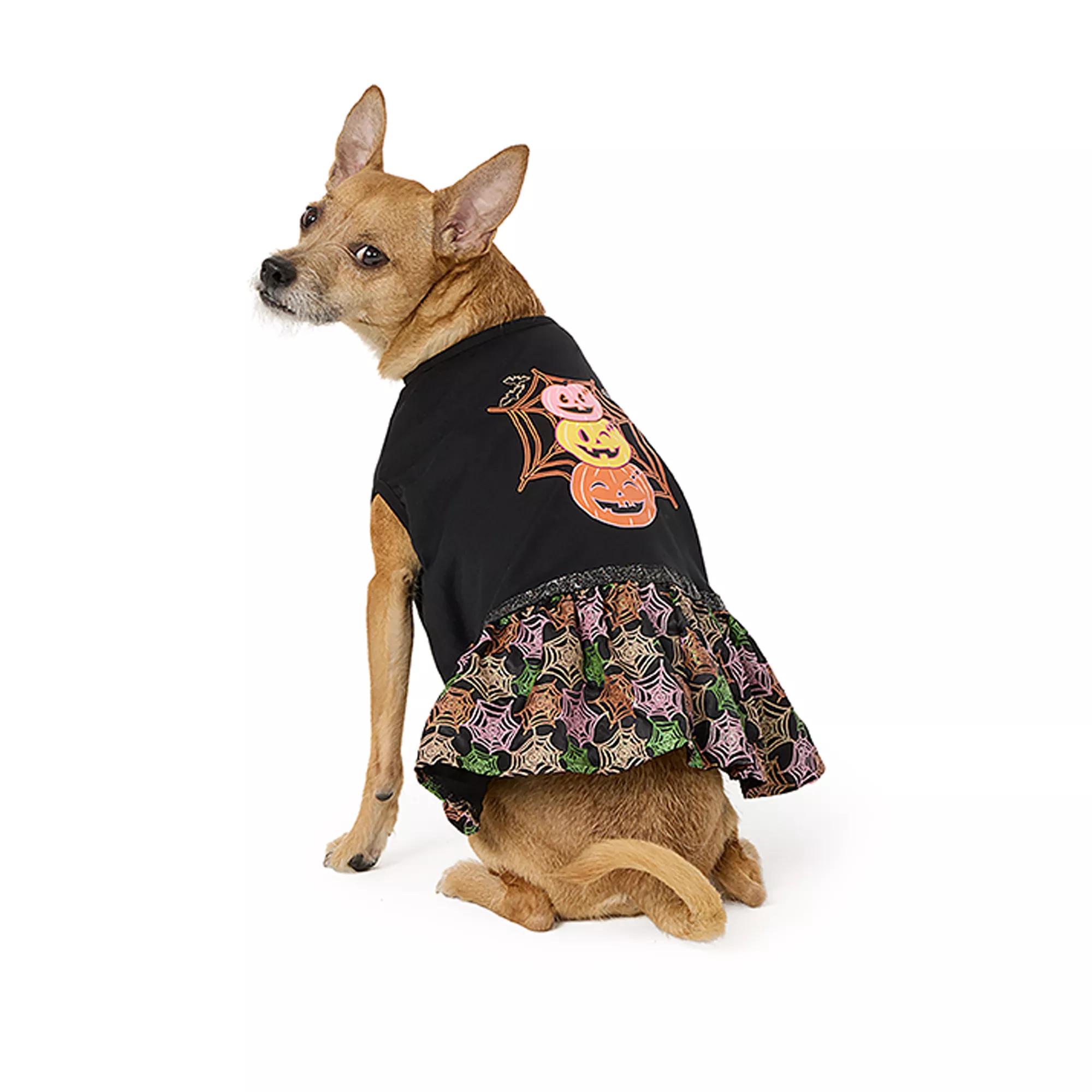 Thrills & Chills® Pet Pumpkin Web Dress