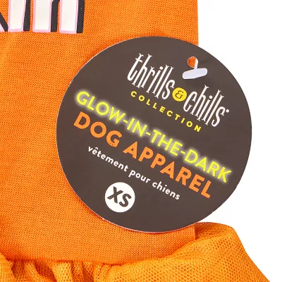 Product Thrills & Chills® Pumpkin Dress, Dog and Cat