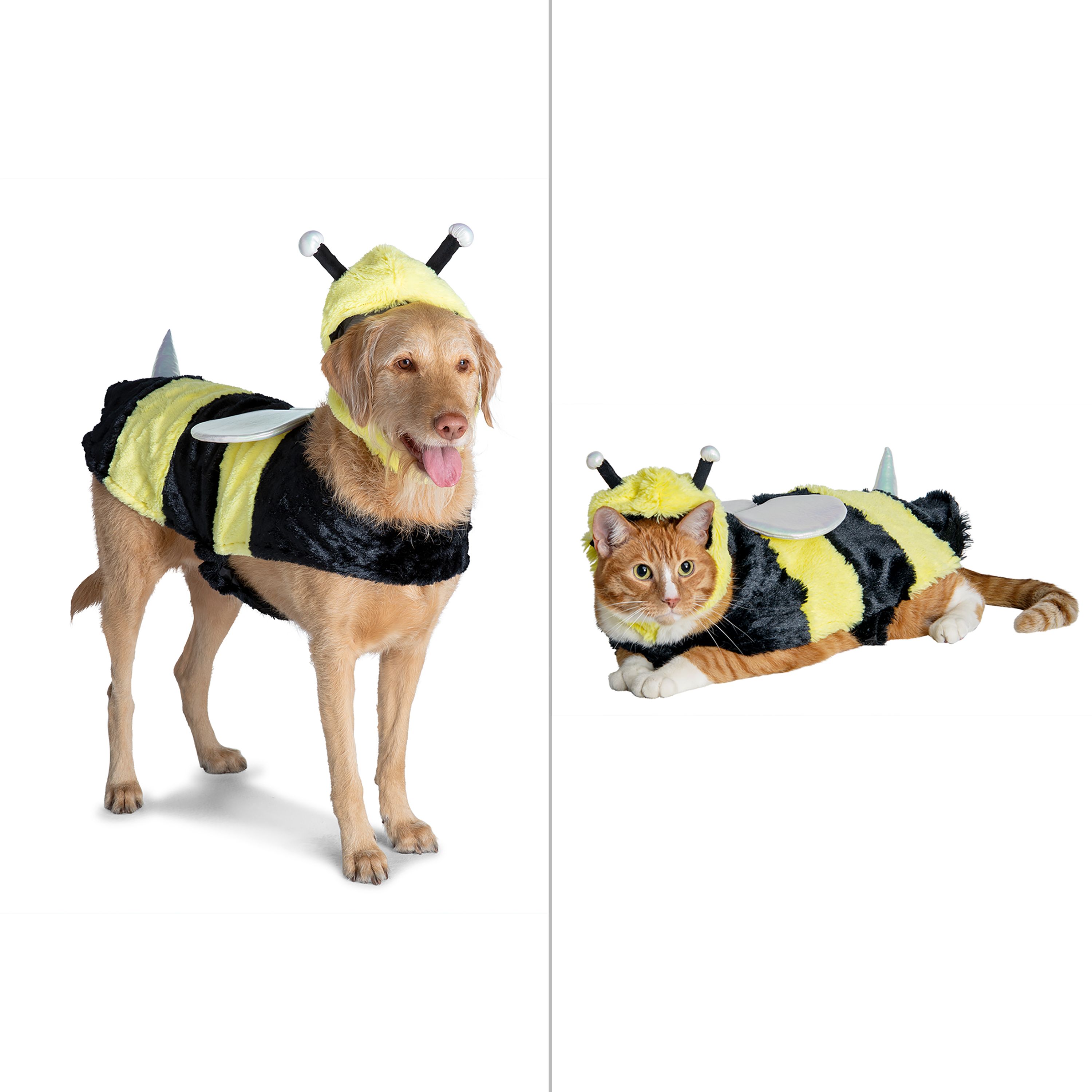 Thrills & Chills® Pet Bee Costume, Dog & Cat