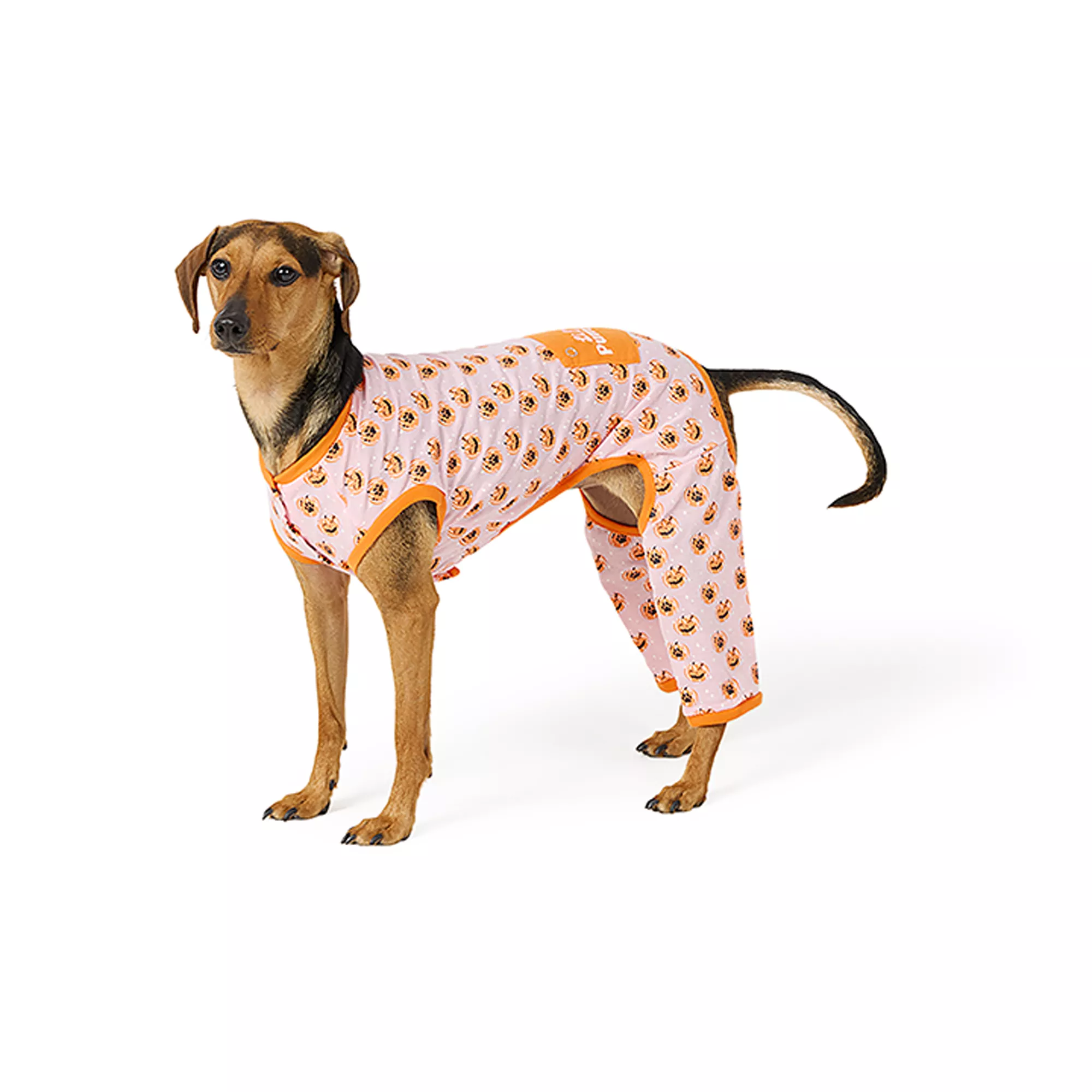 Thrills & Chills® Pet Pumpkin PJs