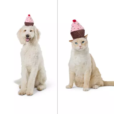 Product Thrills & Chills® Headwear Costume for Pets