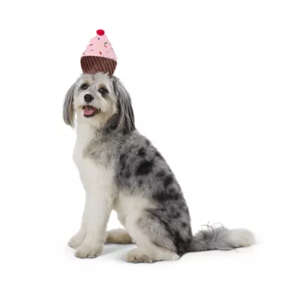 Product Thrills & Chills® Headwear Costume for Pets