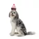 Product Thrills & Chills® Headwear Costume for Pets