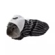Product  Disney Jack Skellington Small Pet Costume