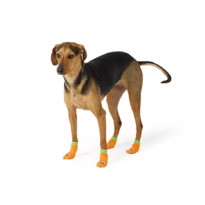 Product Thrills & Chills® Pumpkin Dog Socks