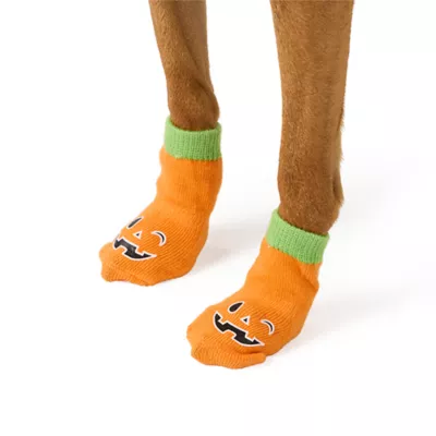 Product Thrills & Chills® Pumpkin Dog Socks