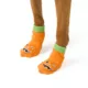 Product Thrills & Chills® Pumpkin Dog Socks