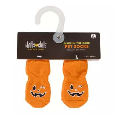 Product Thrills & Chills® Pumpkin Dog Socks