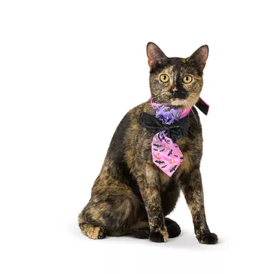 Product Thrills & Chills® Cat LED Light Bat Bowtie