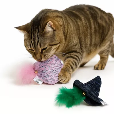 Product Wicked Hat and Tiara Plush Cat Toys, 2 Pack