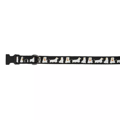 Product Thrills & Chills® Ghost Dog Collar