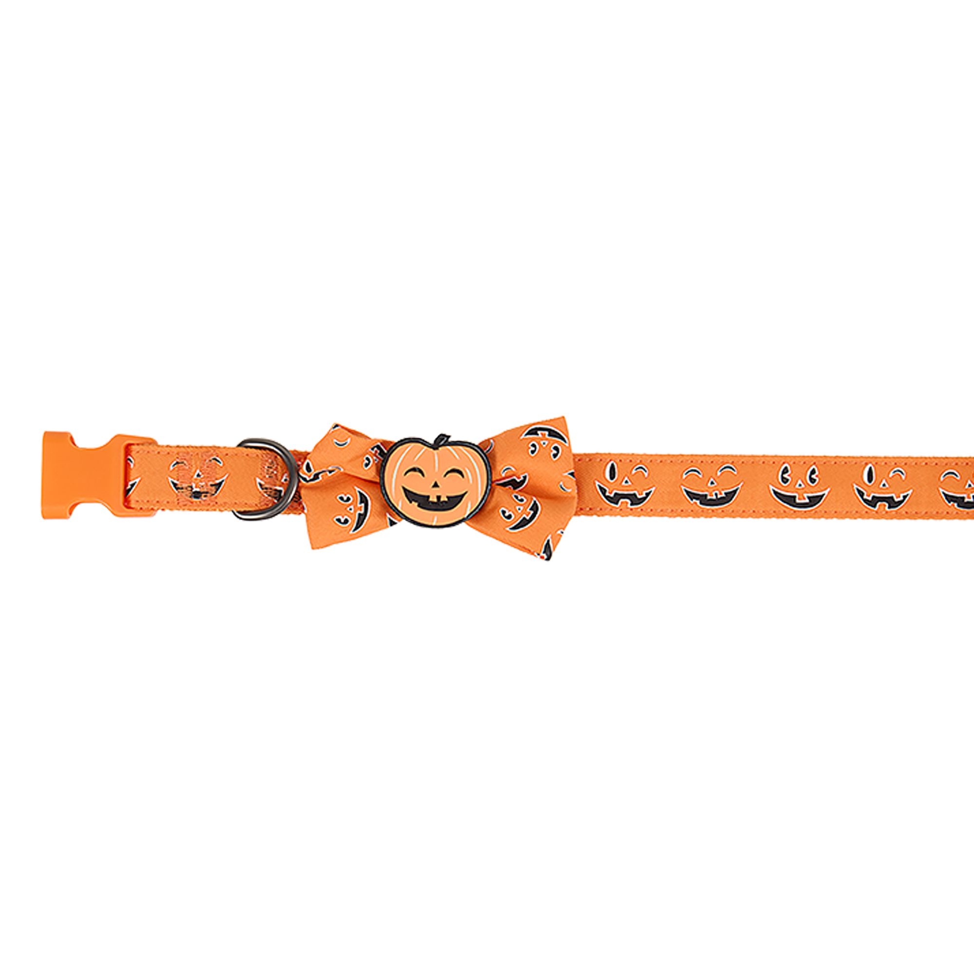 Thrills & Chills® Pumpkin Collar
