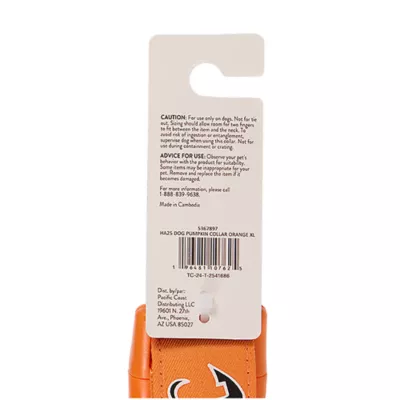 Product Thrills & Chills® Pumpkin Collar