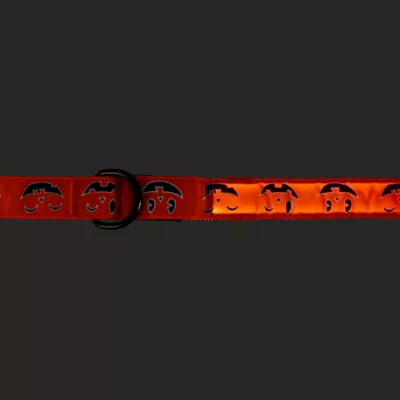 Product Thrills & Chills® LED Orange Pumpkin Dog Leash 4' x 1"