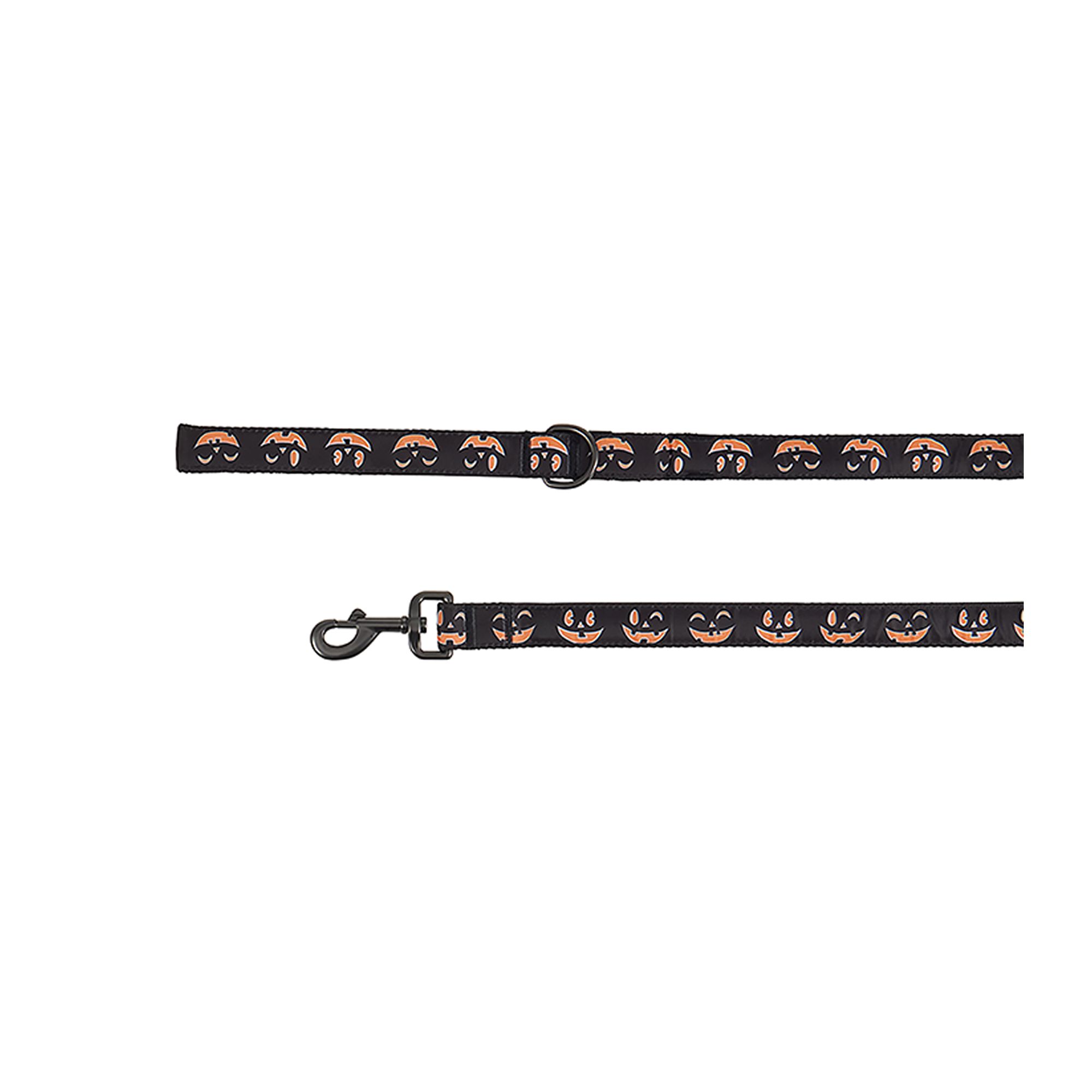 Thrills & Chills® LED Black Pumpkin Dog Leash 4' x 1"