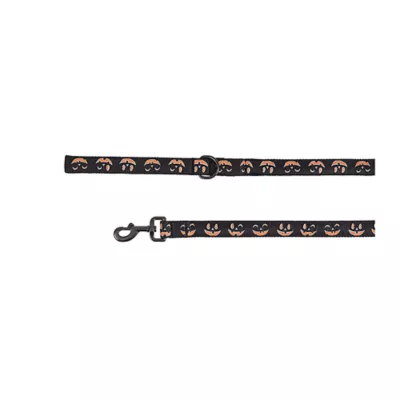 Product Thrills & Chills® LED Black Pumpkin Dog Leash 4' x 1"