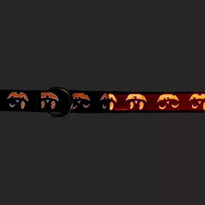 Product Thrills & Chills® LED Black Pumpkin Dog Leash 4' x 1"