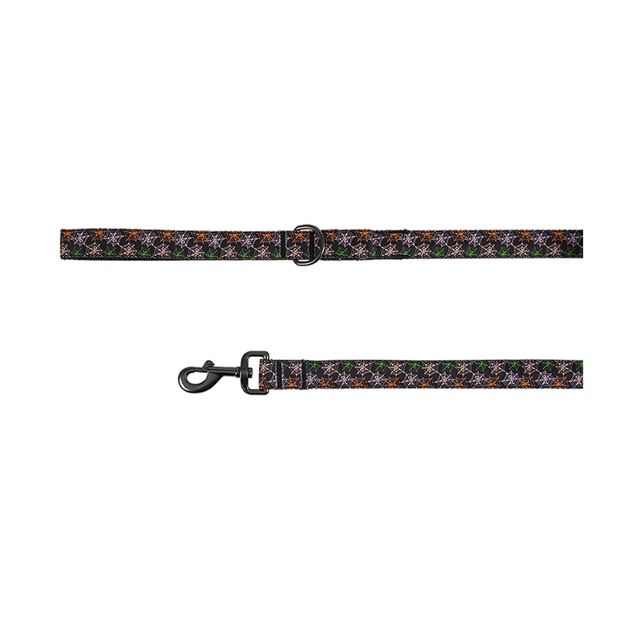 Thrills & Chills® LED Spiderswebs Dog Leash 4' x 1"