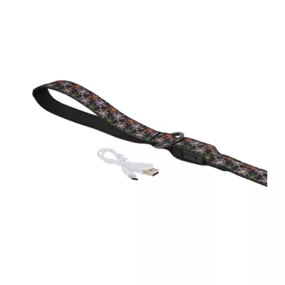 Product Thrills & Chills® LED Spiderswebs Dog Leash 4' x 1"