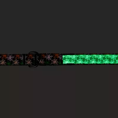 Product Thrills & Chills® LED Spiderswebs Dog Leash 4' x 1"
